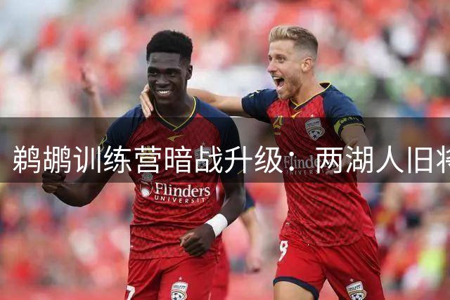 鹈鹕训练营暗战升级：两湖人旧将争夺最后席位